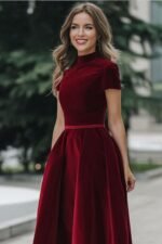 Velvet Dress
