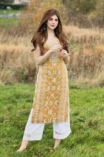 Kurti / Kurta Dress