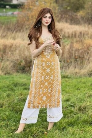 Kurti / Kurta Dress